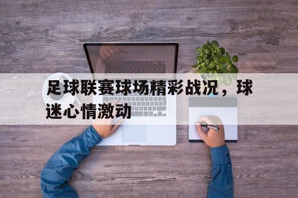 足球联赛球场精彩战况，球迷心情激动的简单介绍