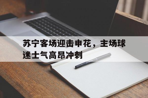 关于苏宁客场迎击申花，主场球迷士气高昂冲刺的信息