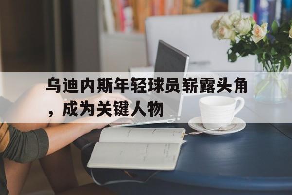 乌迪内斯年轻球员崭露头角，成为关键人物的简单介绍
